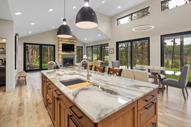 Elk Valley Rd, SD contemporary-kitchen