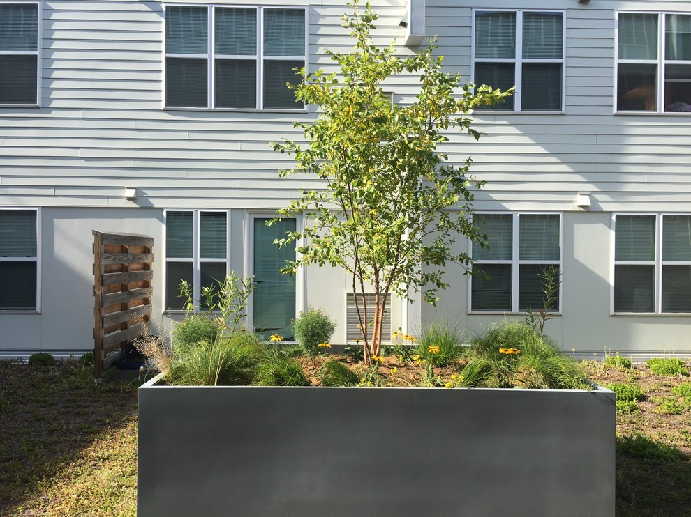 Paseo Verde Green Roof