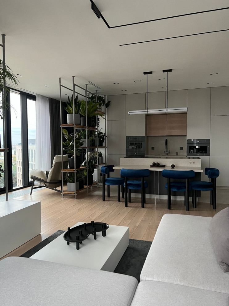 Фотосессия  - двери, мебель и перегородки в московской квартире