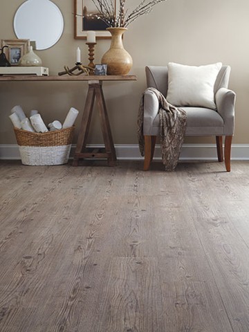 Home design - mid-sized rustic home design idea in Jacksonville