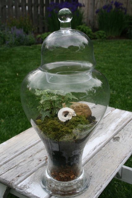 I built myself yet another Terrarium Table. One you can actually put hot  coffee on without damaging plants. : r/terrariums