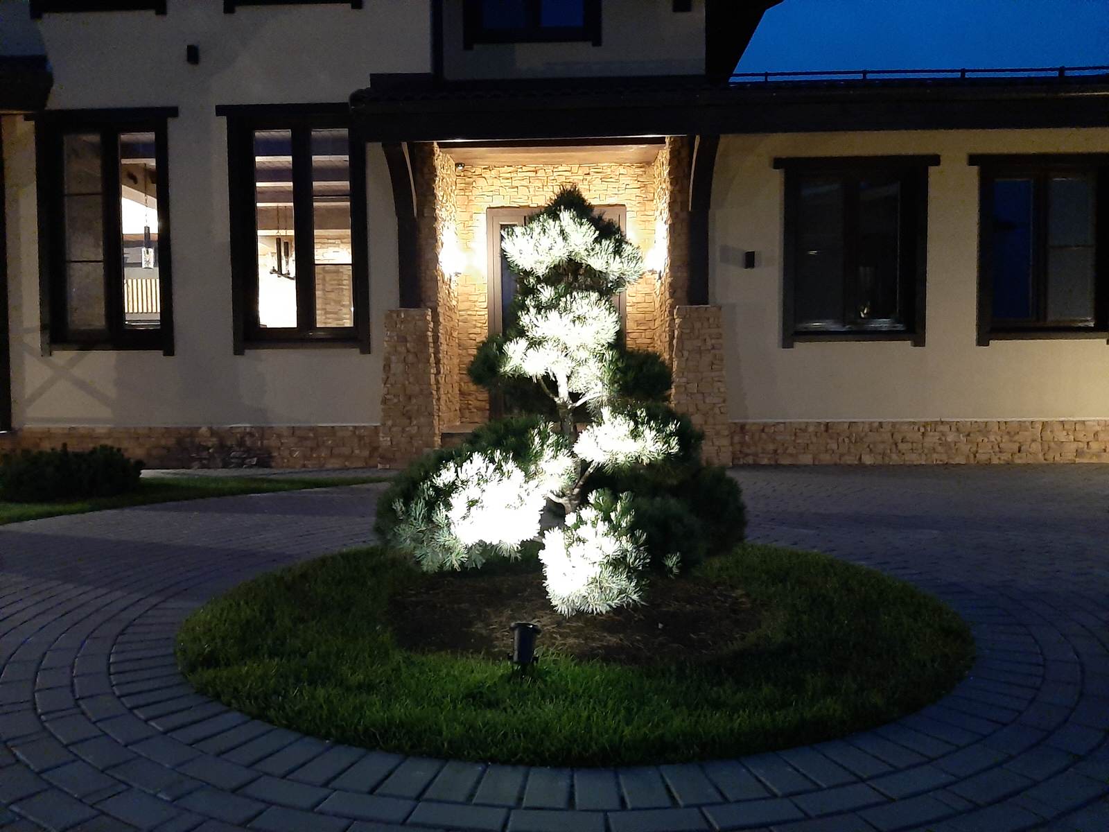 Сад с хвойными растениями