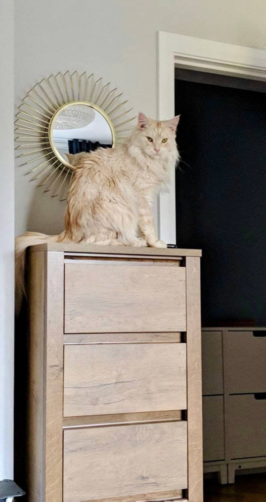 ДИЗАЙН-ПРОЕКТ ИНТЕРЬЕРА КВАРТИРЫ, ДУБЛИН, 73 М²