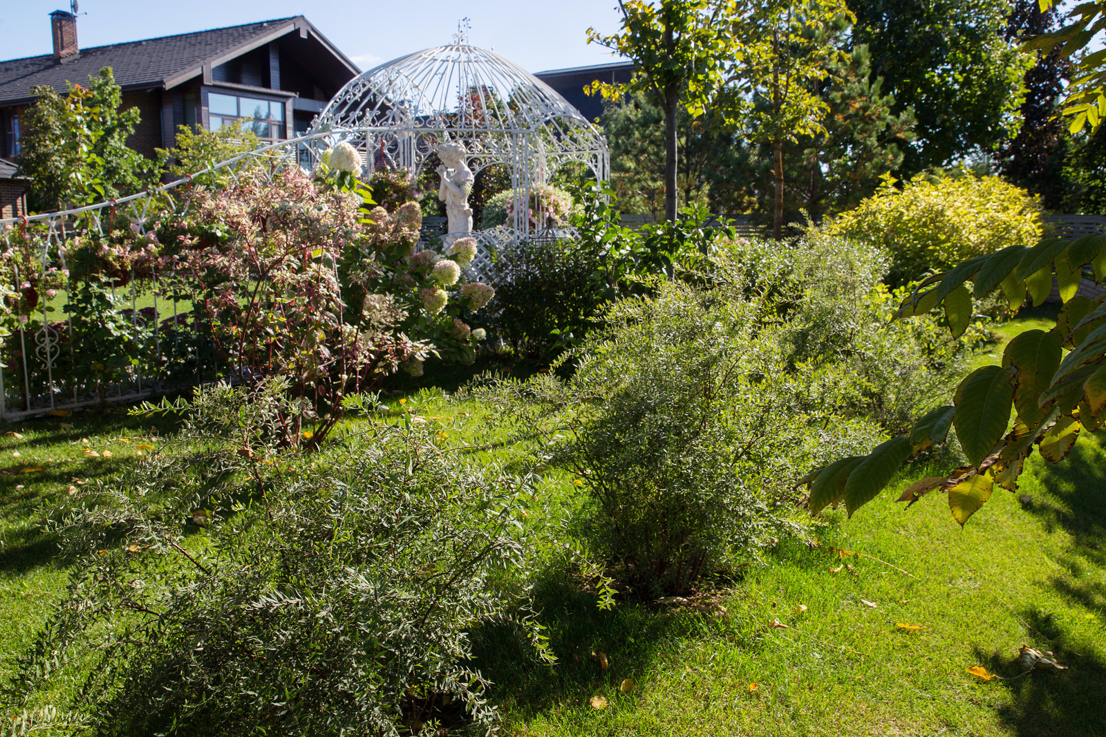 Сад на Пятницком шоссе.  Дизайнер Лариса Юрова