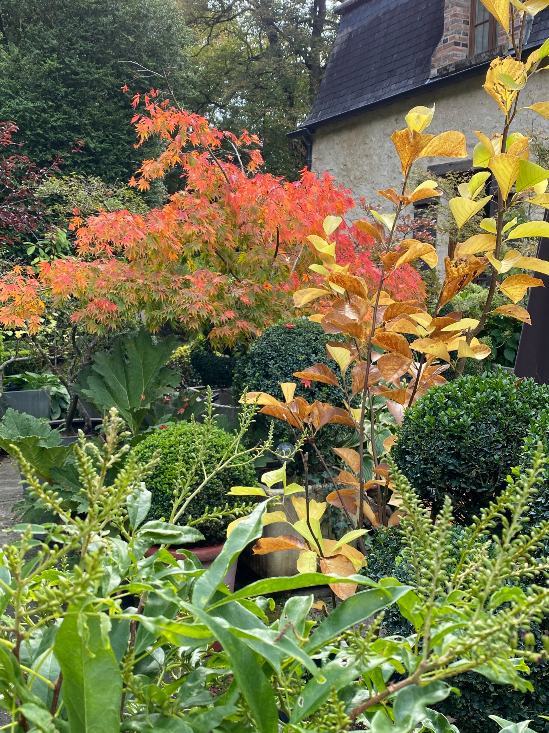 Transformation d'un jardin