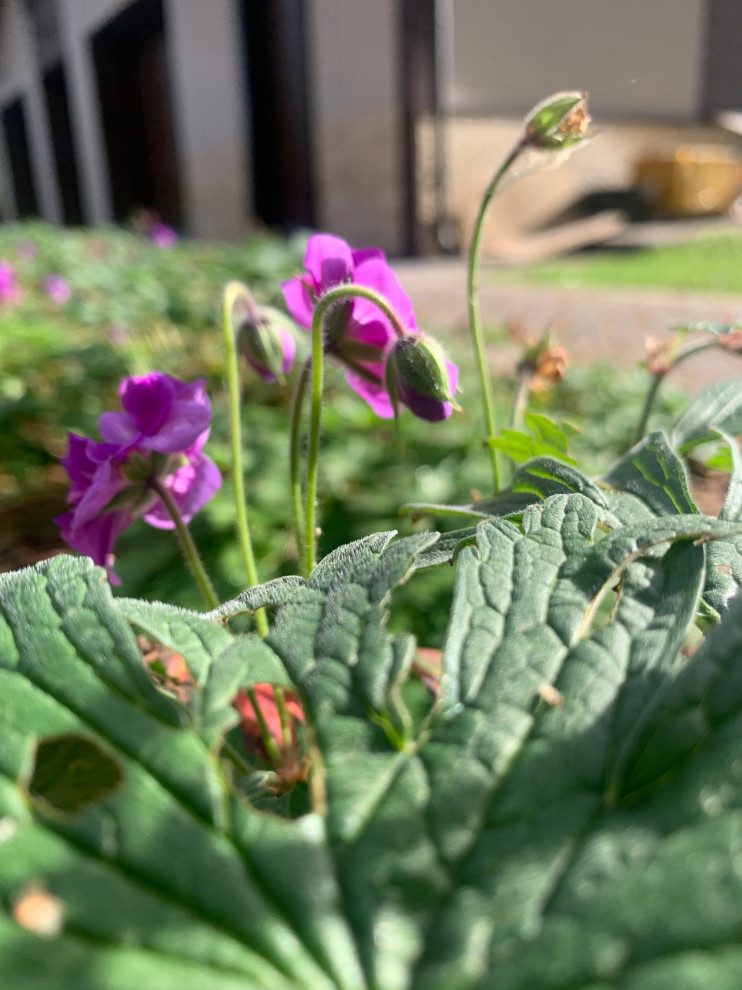 Таргайские усадьбы