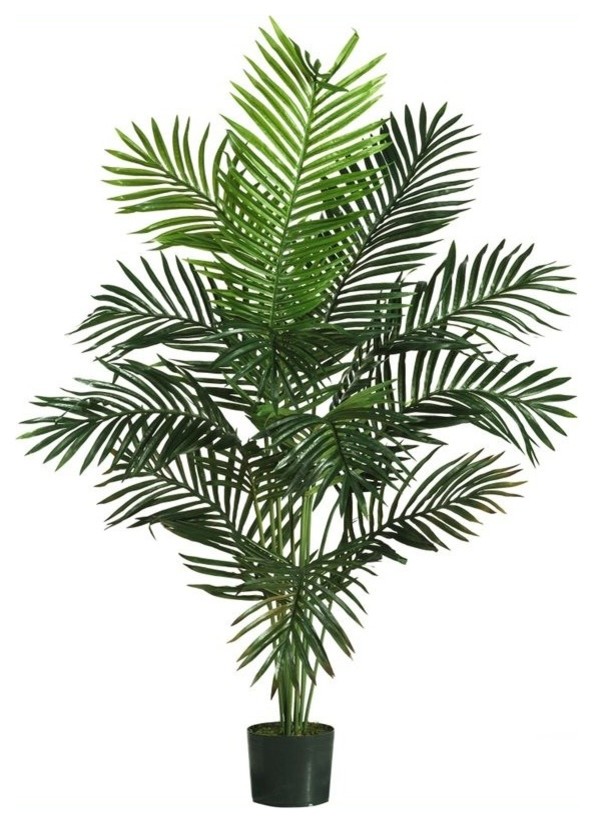 Paradise Palm Tree, 5'
