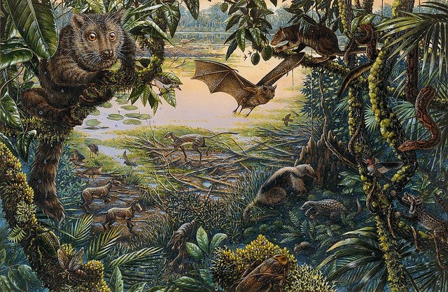 Rain Forest Animals Wallpaper Wall Mural Self Adhesive Rain Forest Animals Wallpaper Wall Mural Self Adhesive
