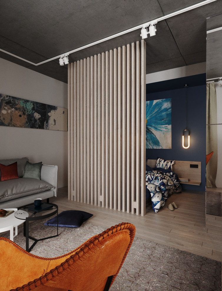 Питер студия для студента