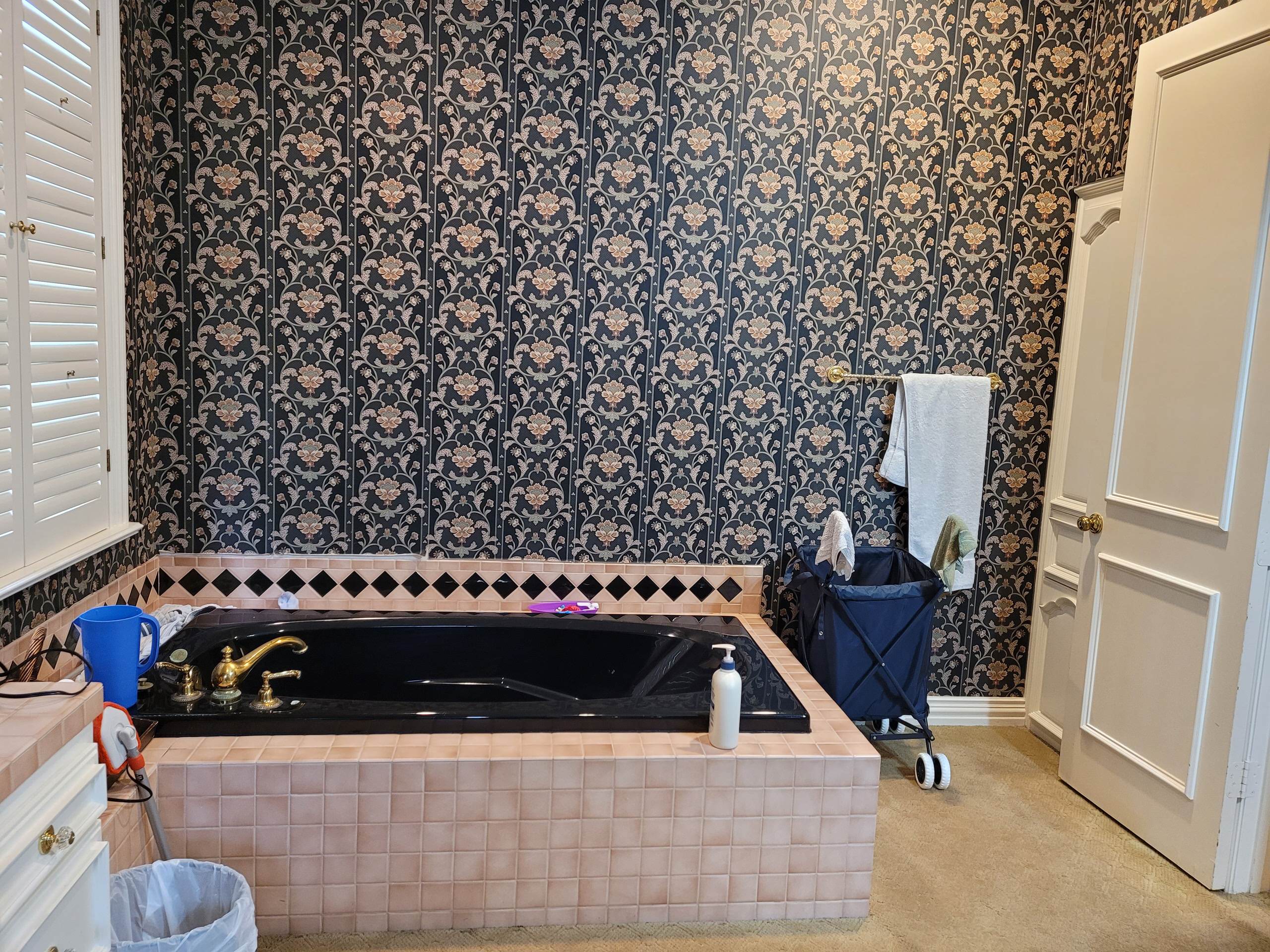 Master Bathroom Remodel
