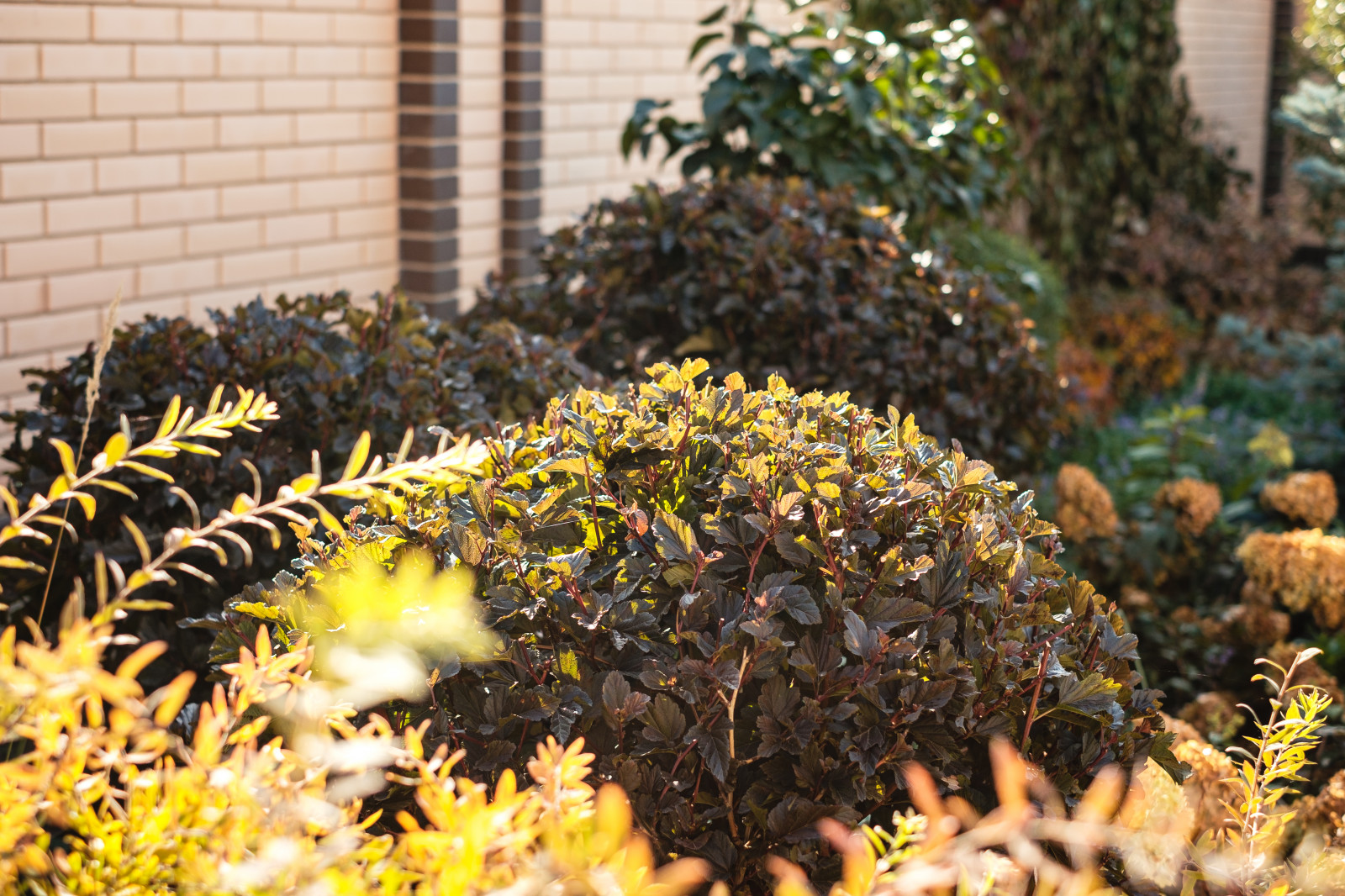 Сад с подпорными стенами