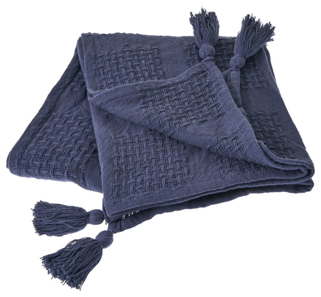 Charming Light Blue Throw Blanket Contemporary Throws by LR Home