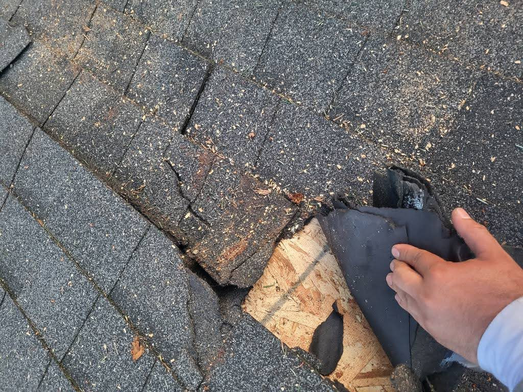 Roof Replacement