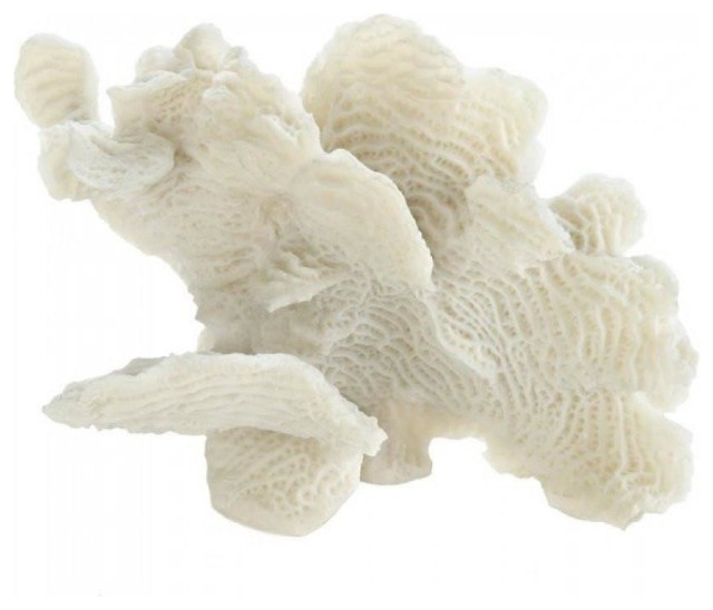 Large White Coral Tabletop Decor