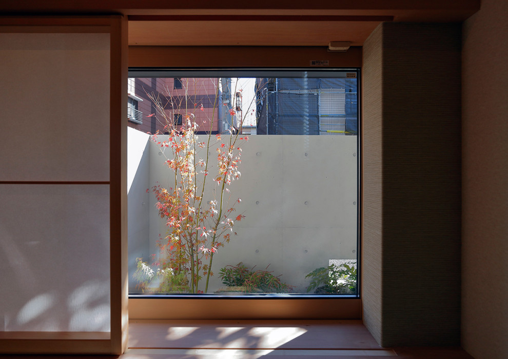 Idées déco pour une salle de séjour asiatique avec un mur vert, un sol de tatami, un sol vert, un plafond en papier peint et du papier peint.