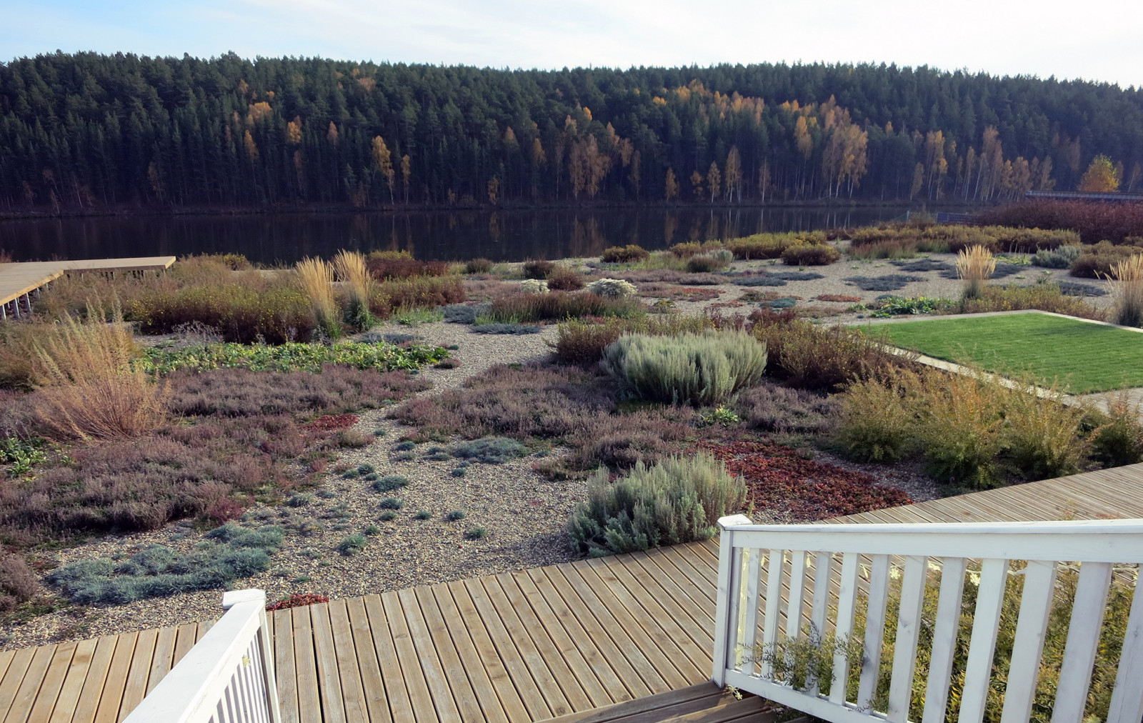 Полынный берег