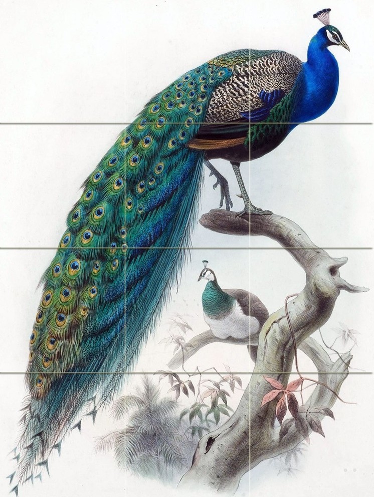 Tile Mural Bird Peacock Kitchen Bathroom Wall Backsplash, 6" Marble