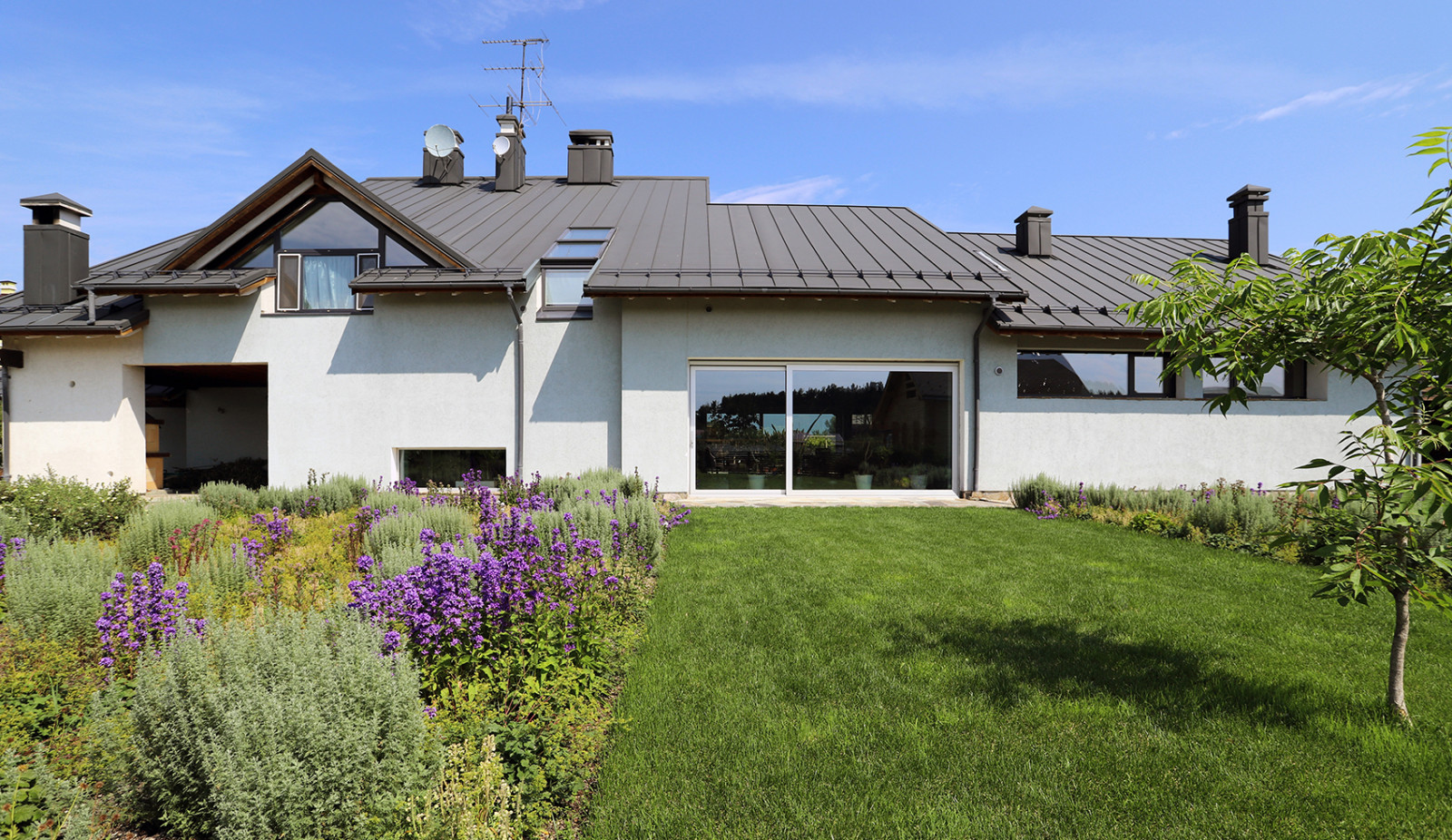 сад у стен цвета кладонии