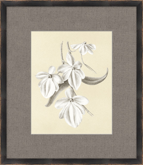 Moons Matisse, Giclee Reproduction Artwork, 18.75x21.75 Contemporary