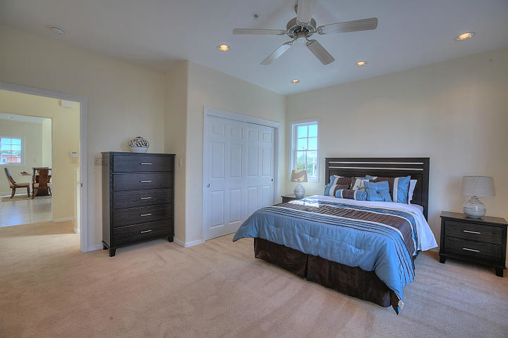 This is an example of a transitional bedroom in Albuquerque.