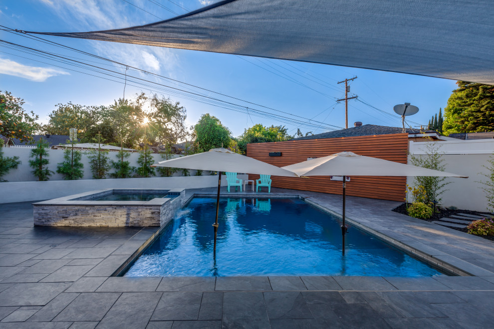 Mid-Century Pool in Los Angeles