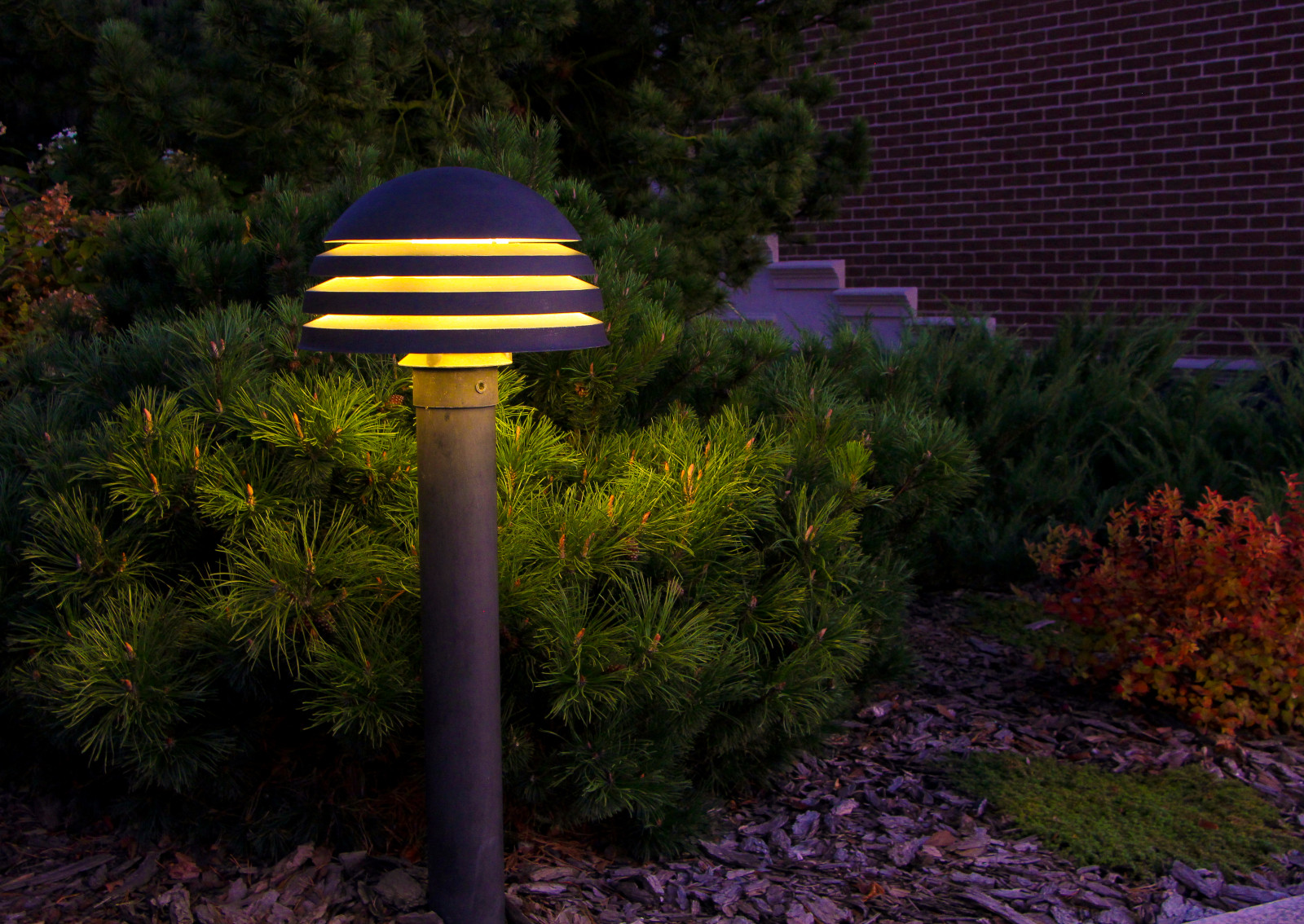 Горки-10, ночной сад, 2017-2020 гг.