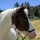 webuser_7190800
