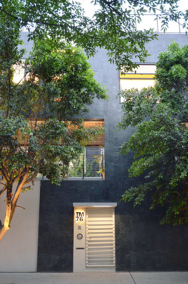 Design ideas for a contemporary exterior in Mexico City with stone veneer.