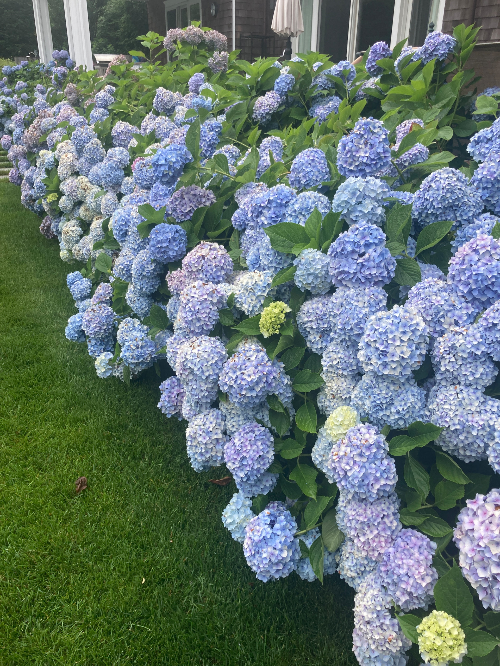 Watermill, NY Country Garden