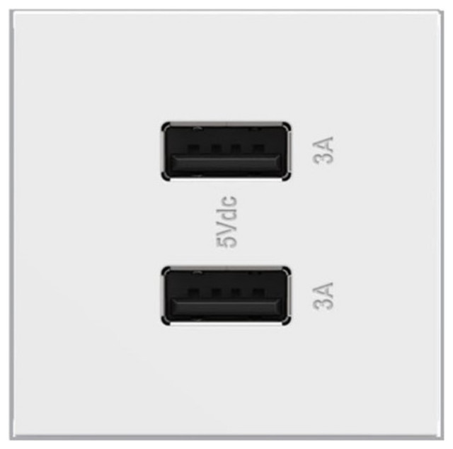 Legrand Adorne Full-Size A/A USB Outlet ARUSB2AA6W4, White - Modern -  Switches And Outlets - by Lighting and Locks | Houzz
