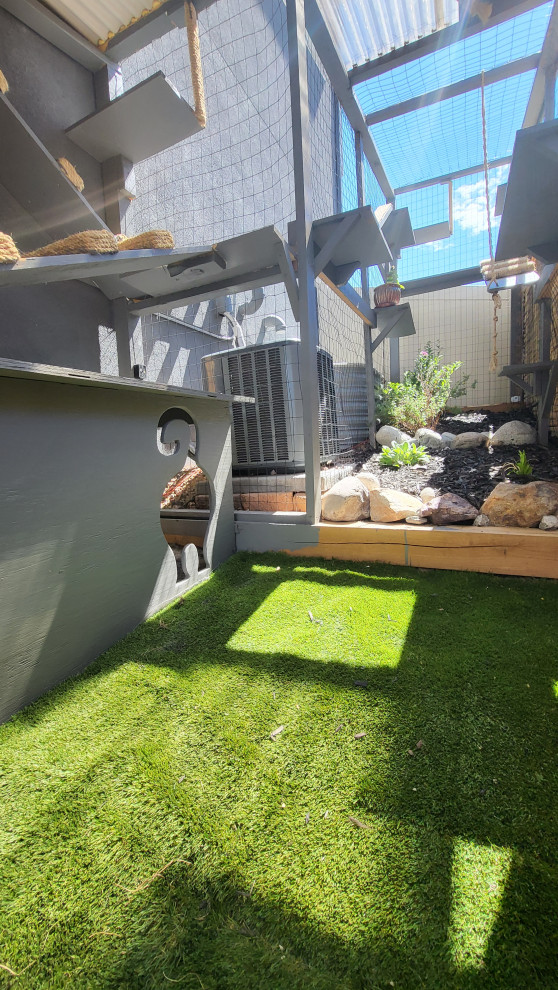 The Purr-fect Playground✨