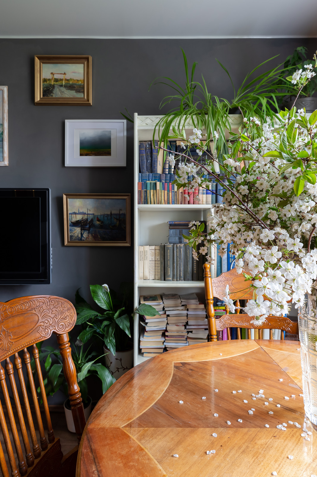 Проект Ланы Полушкиной