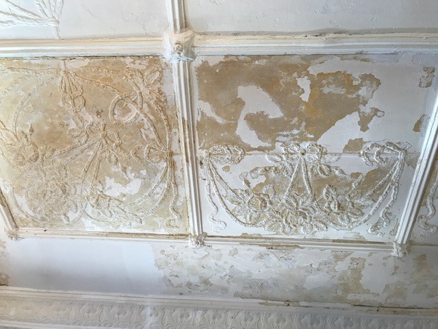 Ceiling Restoration