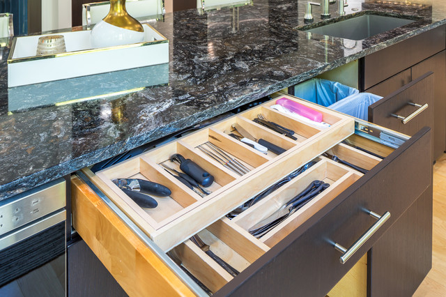 Ramoin Kitchen contemporary-kitchen