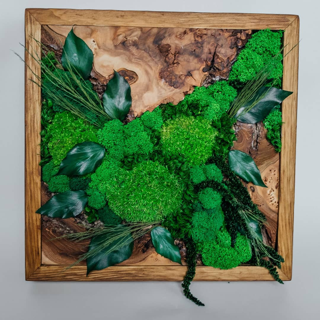 Фито-картины