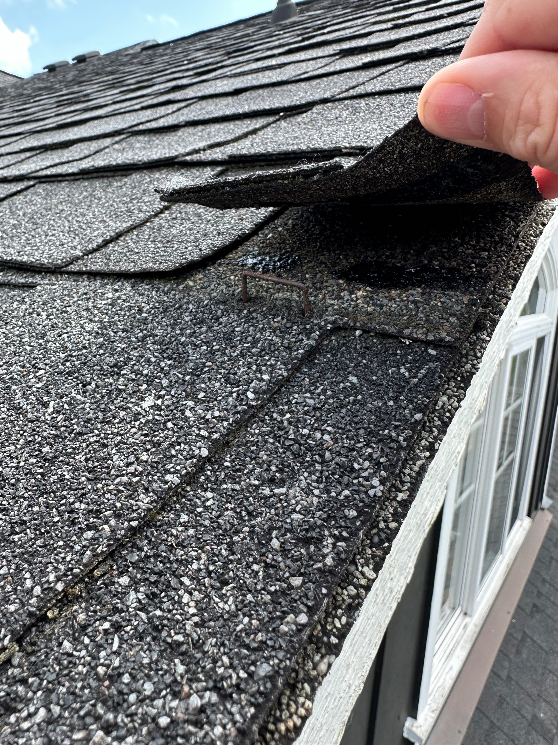 Snohomish Roof - 50+ Squares of roofing