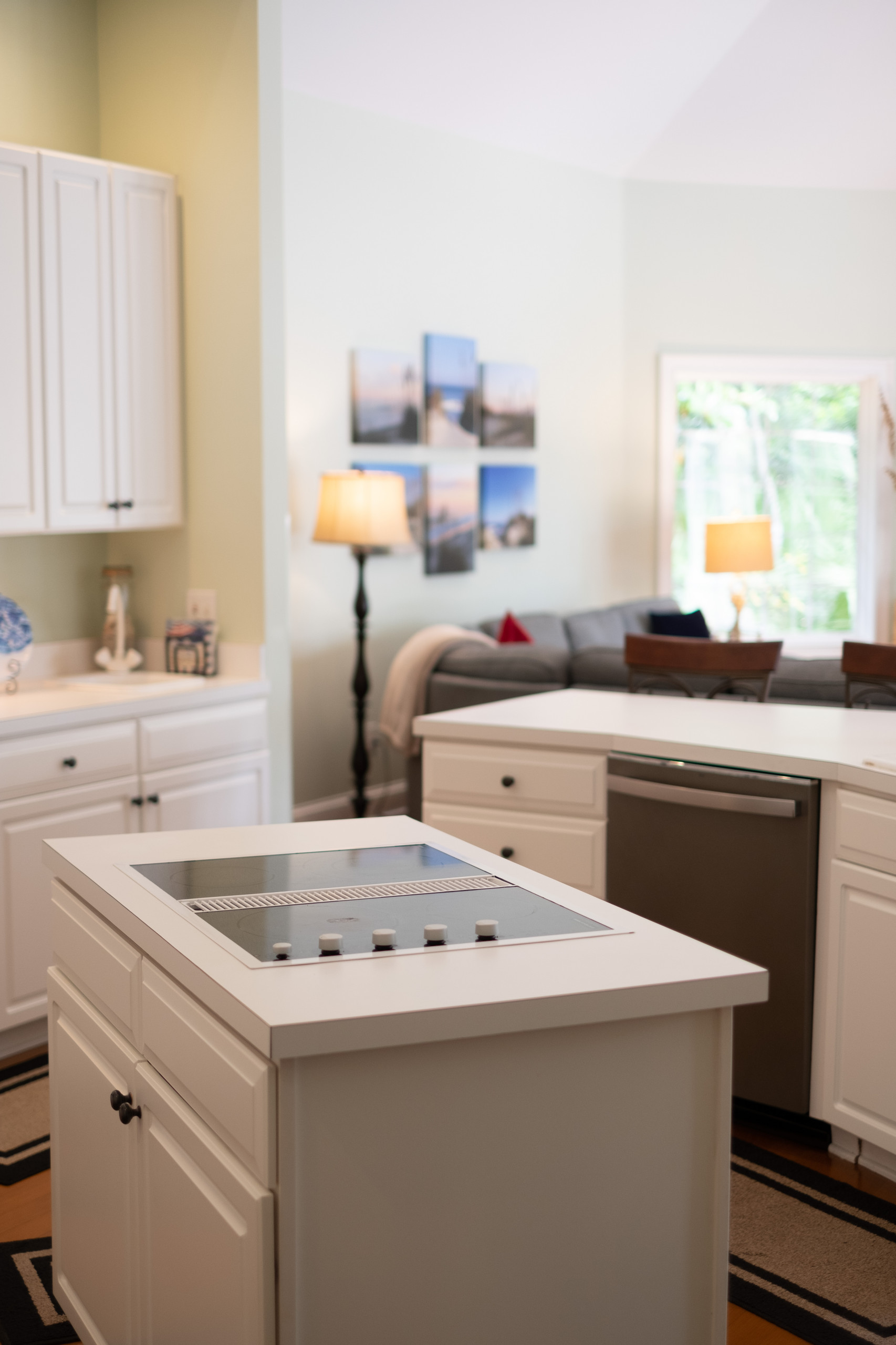 Palmetto Dunes Project