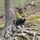 lisa_pollard87