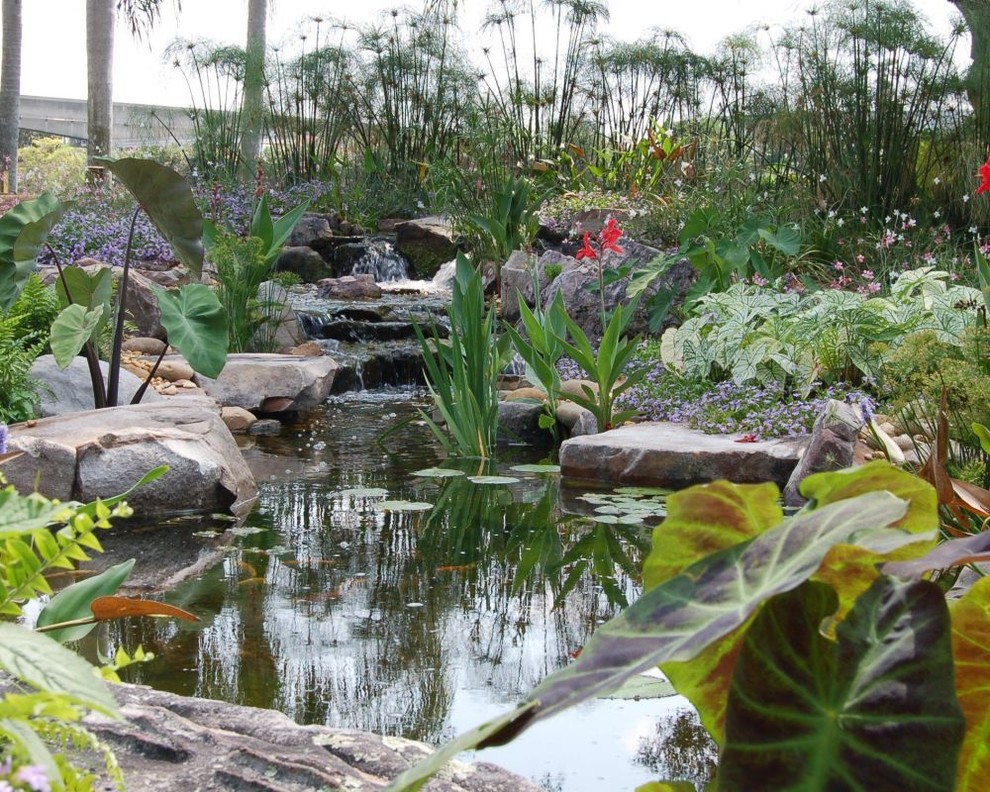 Photo of a tropical garden in Philadelphia.