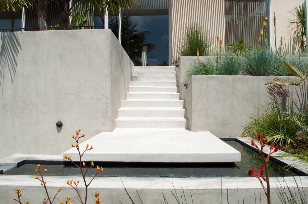 Photo of a contemporary garden in San Francisco.