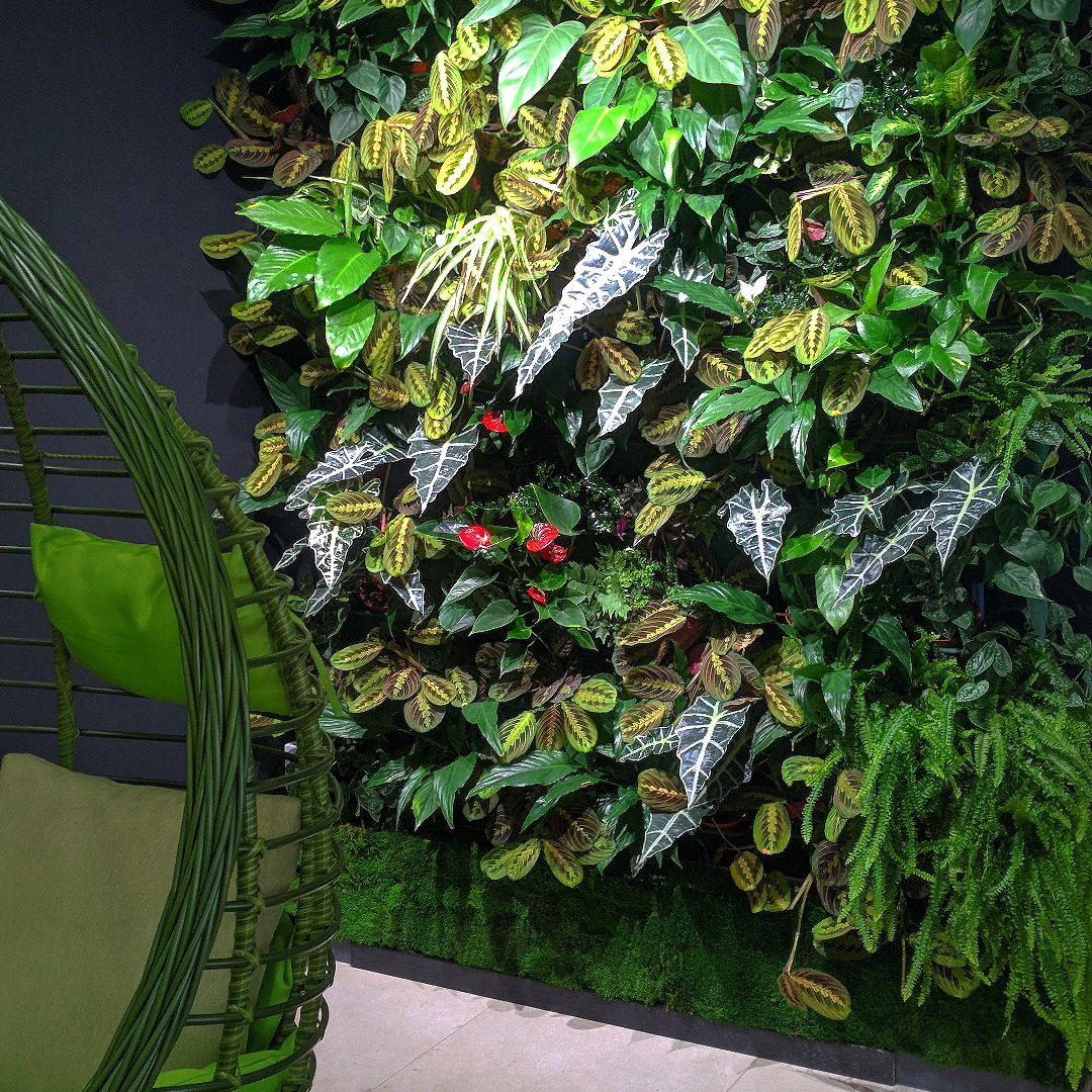 Фотографии проектов без в.знаков