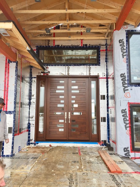 Double Front Entry Doors contemporary-entry