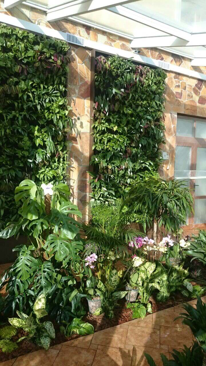 Зимний сад. Калининец