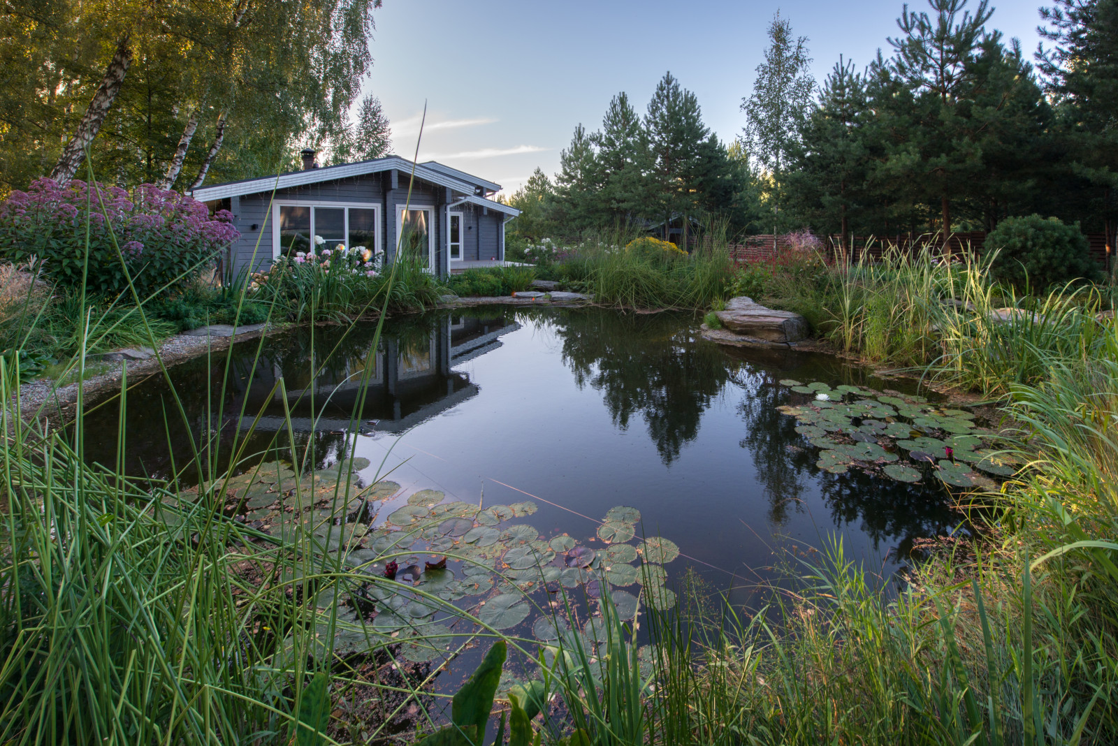 Озеро в лесу. Посёлок Приволье.