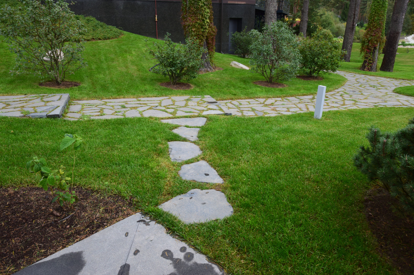 Сестроречье