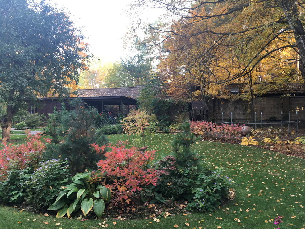 Белкин сад. Осень 2019