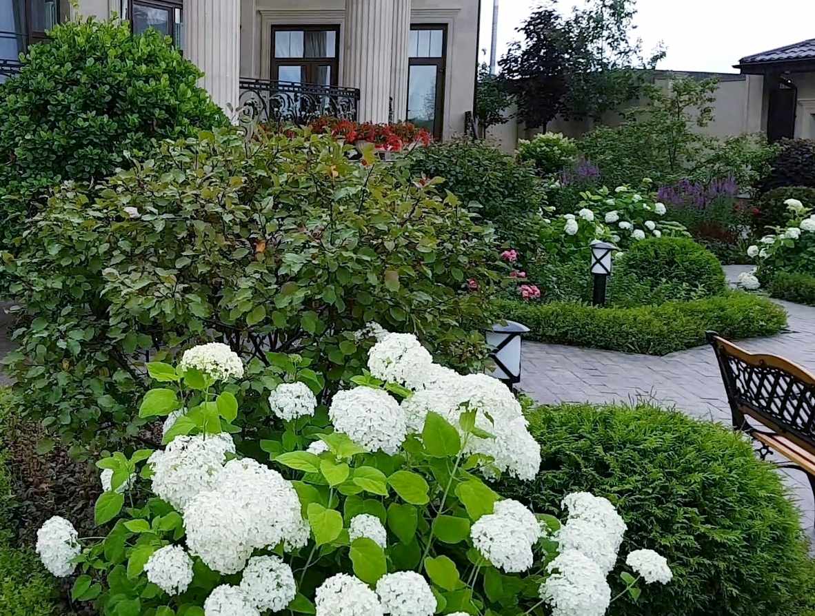 Соловьиная роща