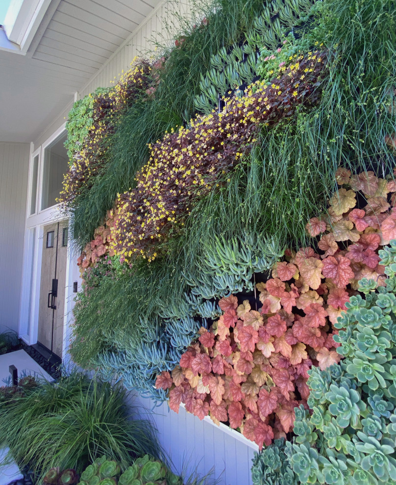 Mittelgroßer, Halbschattiger Moderner Garten im Herbst mit Betonboden in San Francisco