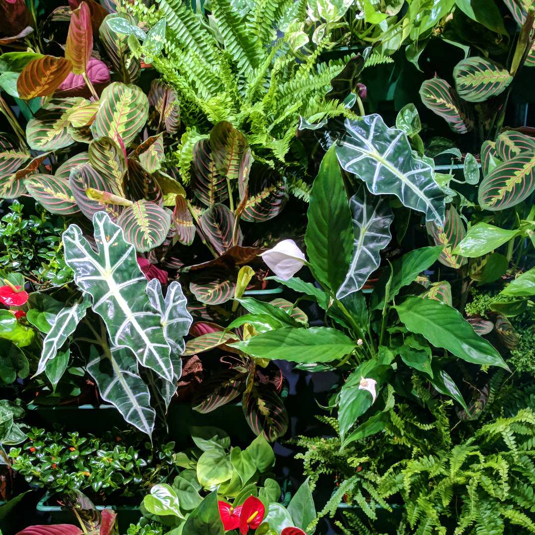 Фотографии проектов без в.знаков