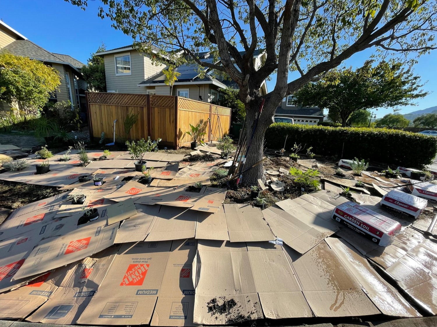Lawn Coverage